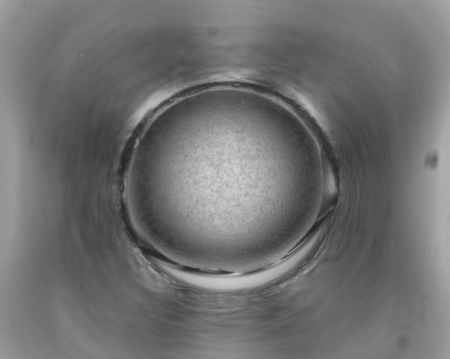 X0000092001308200709131506