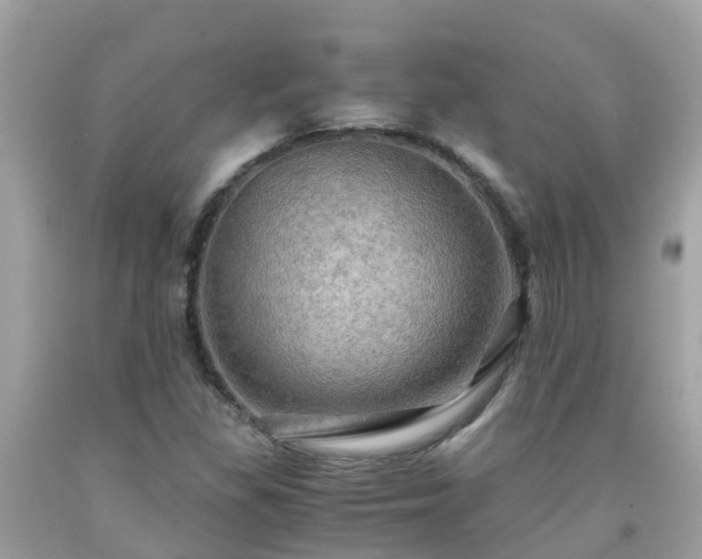 X0000092001309200709131506