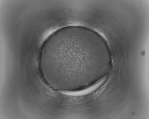 X0000092001311200709131506