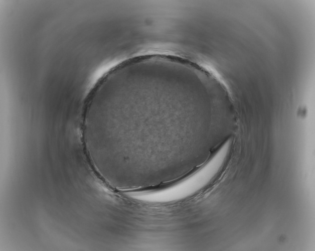 X0000092001312200709131506