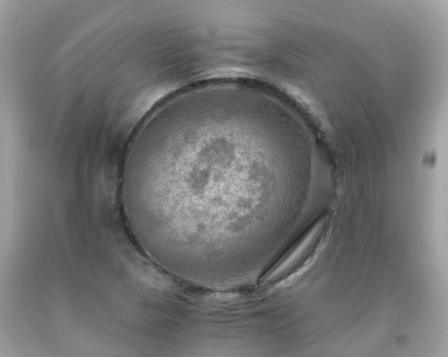 X0000092001313200709131506