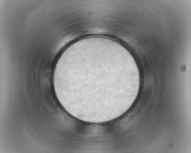 X0000092001314200709131506