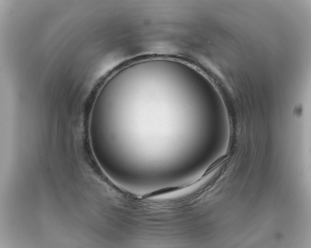 X0000092001315200709131506