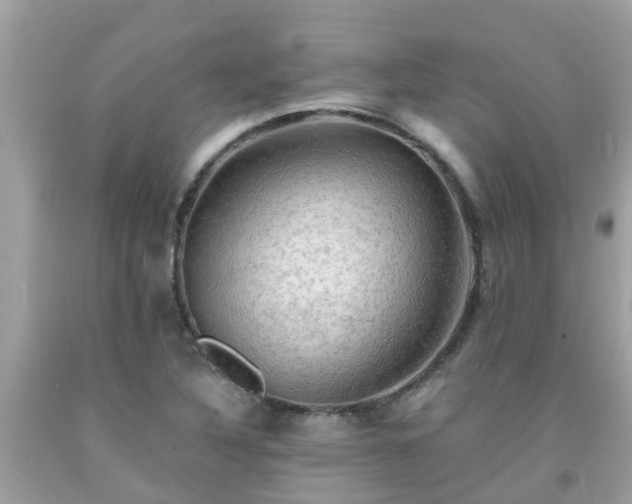 X0000092001316200709131506