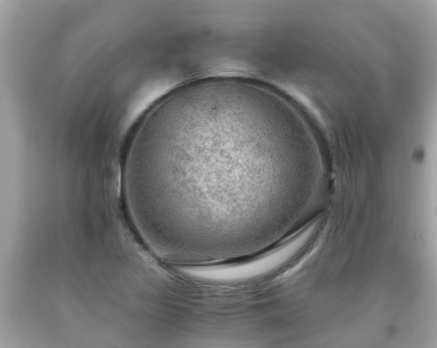 X0000092001317200709131506