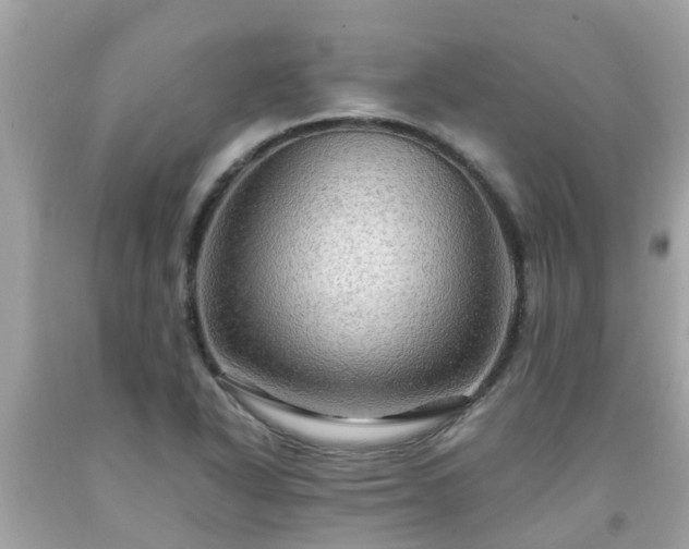 X0000092001318200709131506