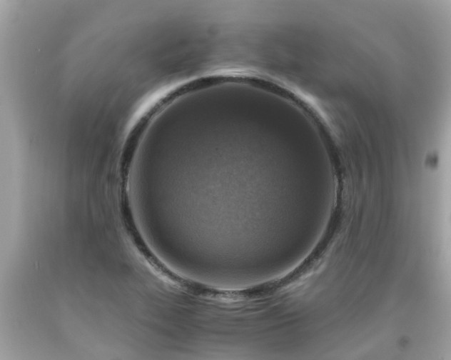 X0000092001319200709131506