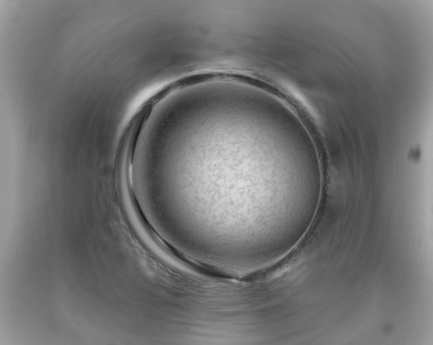 X0000092001320200709131506