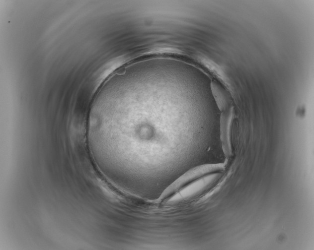 X0000092001321200709131506