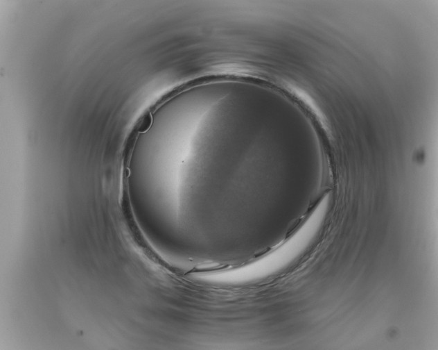 X0000092001323200709131506