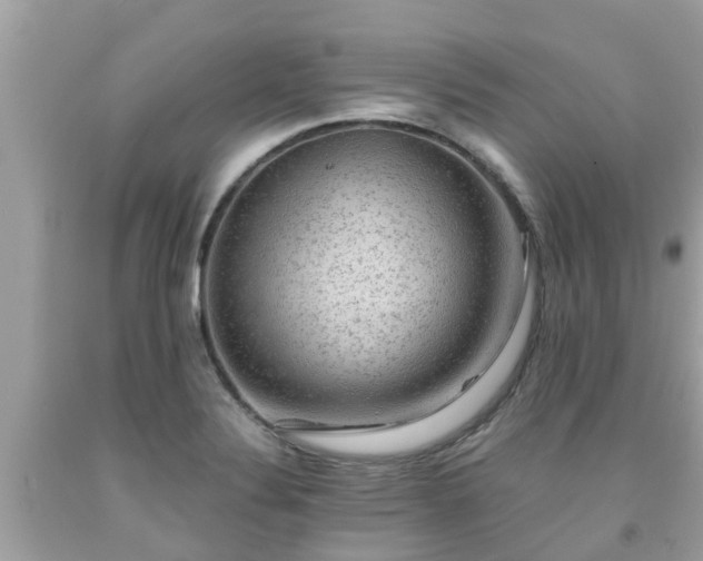 X0000092001324200709131507