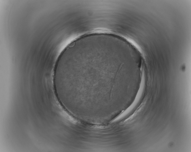 X0000092001325200709131507