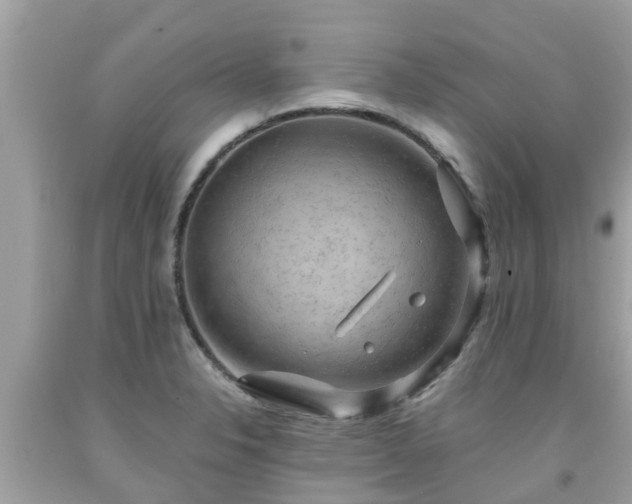 X0000092001326200709131507