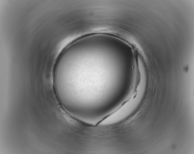 X0000092001328200709131507