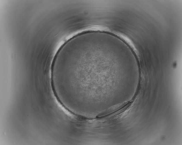 X0000092001335200709131507