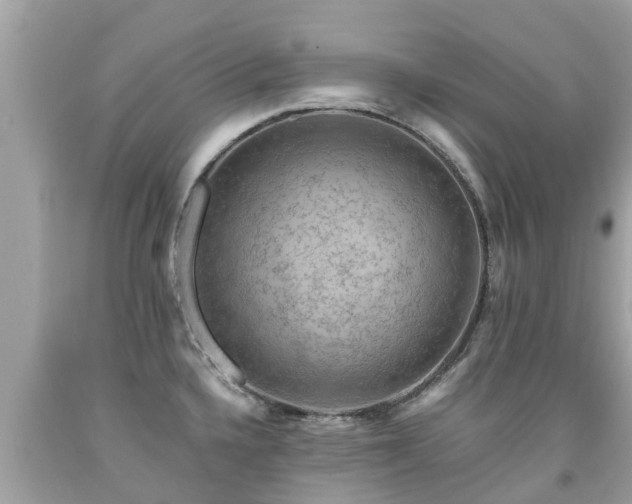 X0000092001336200709131507