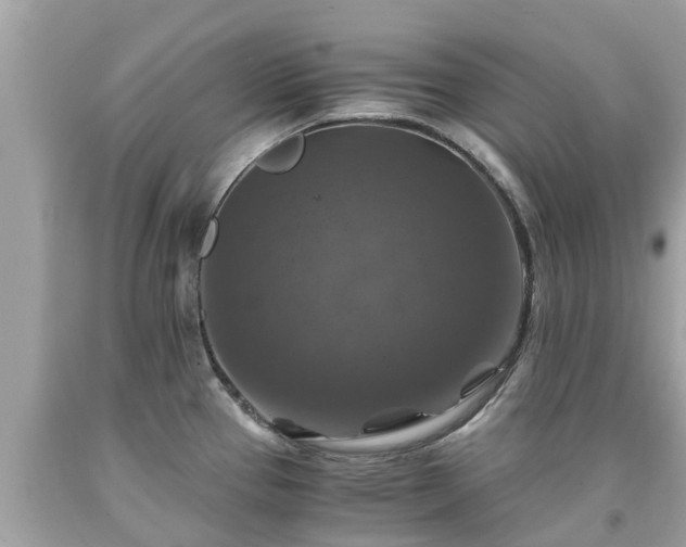 X0000092001337200709131507