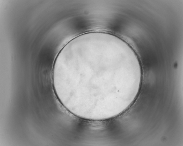 X0000092001338200709131507