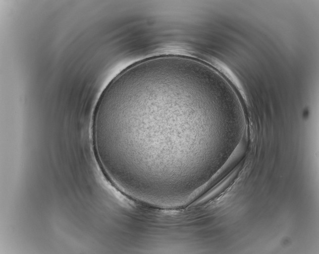 X0000092001339200709131507