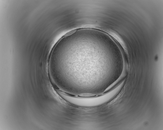 X0000092001340200709131507