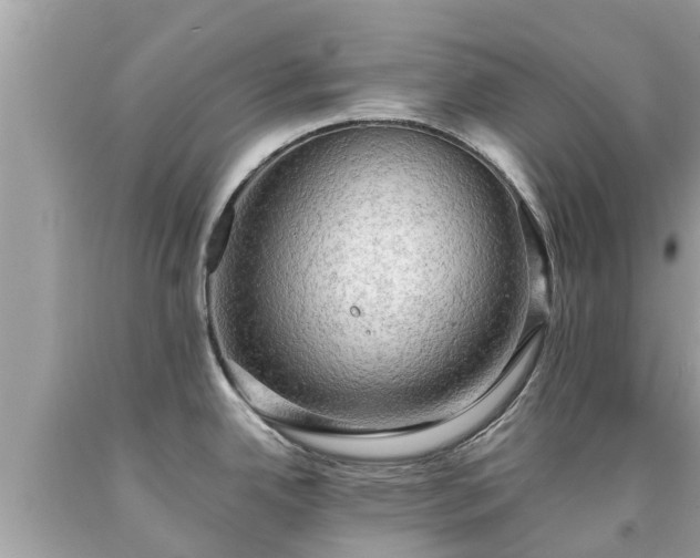 X0000092001342200709131507