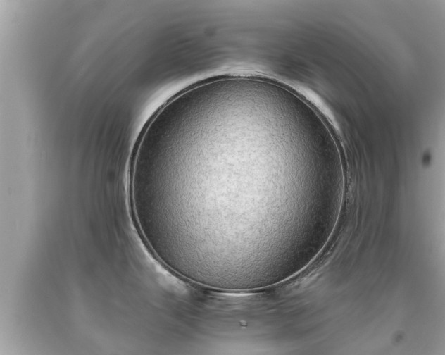 X0000092001343200709131507