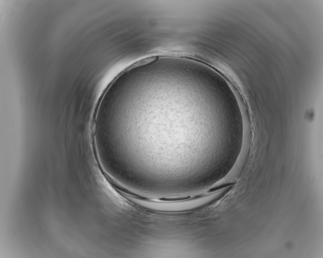 X0000092001344200709131507