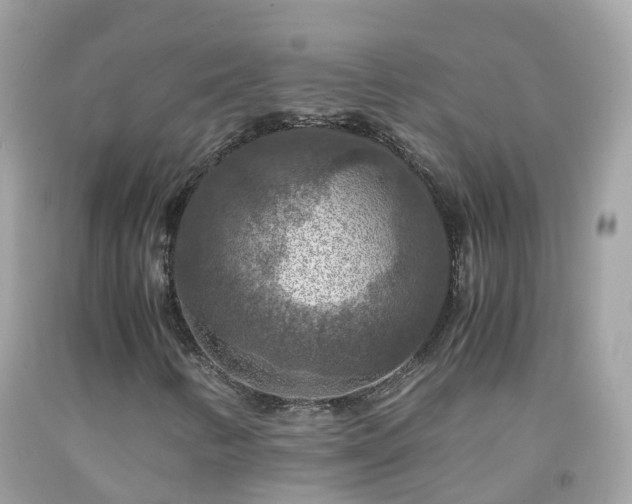 X0000092001346200709131506