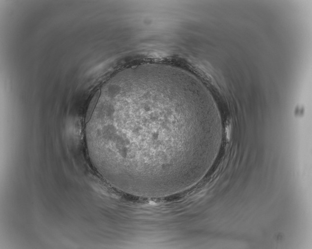 X0000092001347200709131506