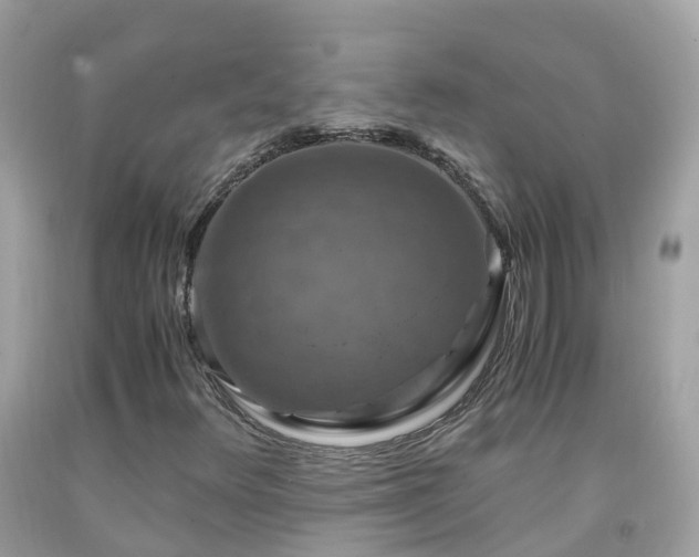 X0000092001348200709131506