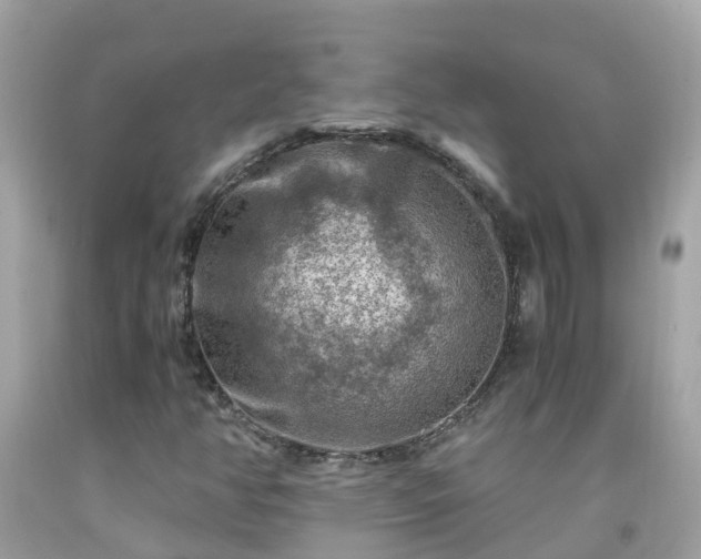 X0000092001350200709131506