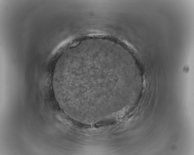 X0000092001351200709131506