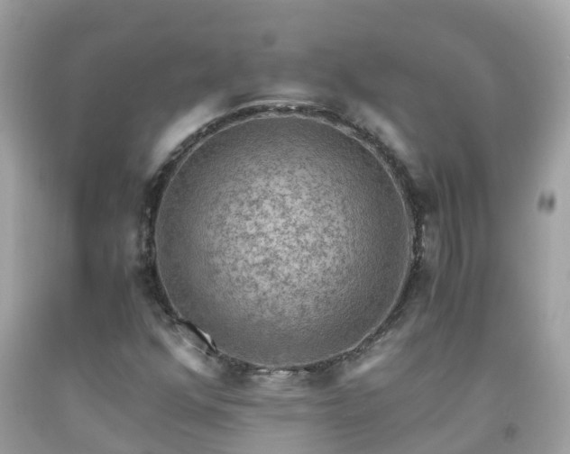 X0000092001352200709131506