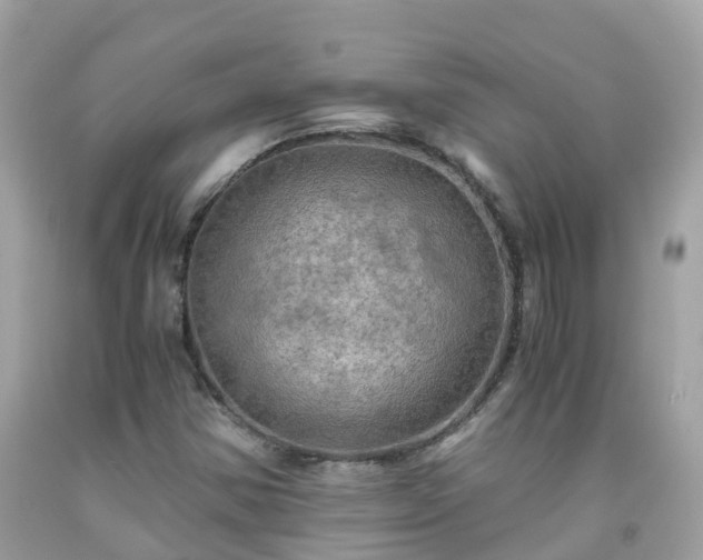 X0000092001354200709131506