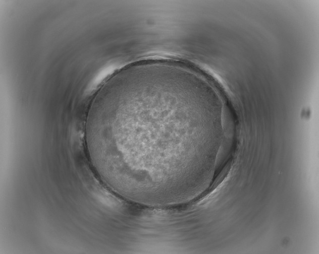 X0000092001355200709131506