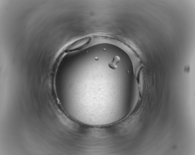 X0000092001356200709131506