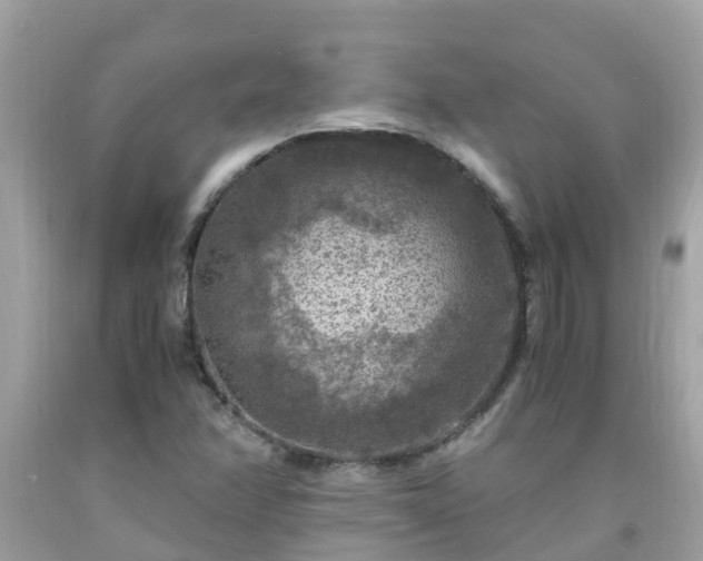 X0000092001358200709131506