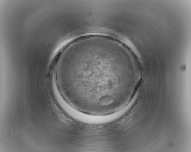 X0000092001360200709131506