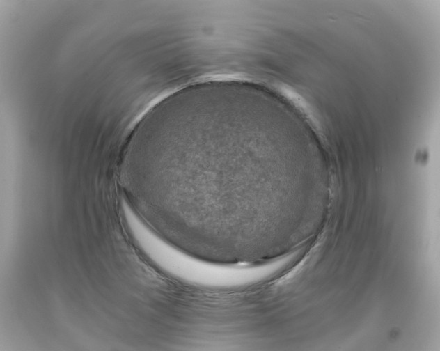 X0000092001361200709131506