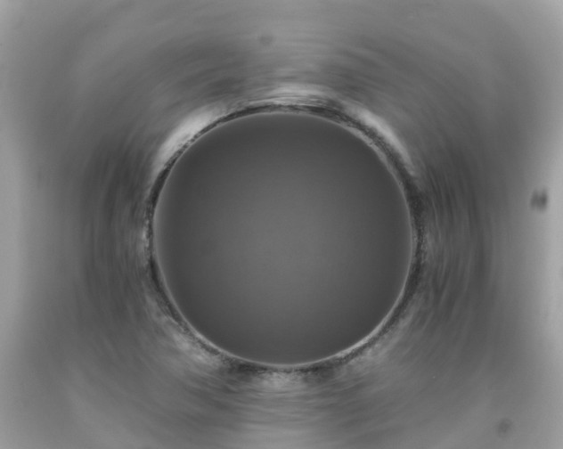 X0000092001362200709131506