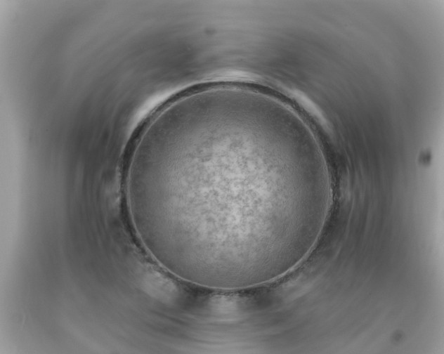 X0000092001364200709131506