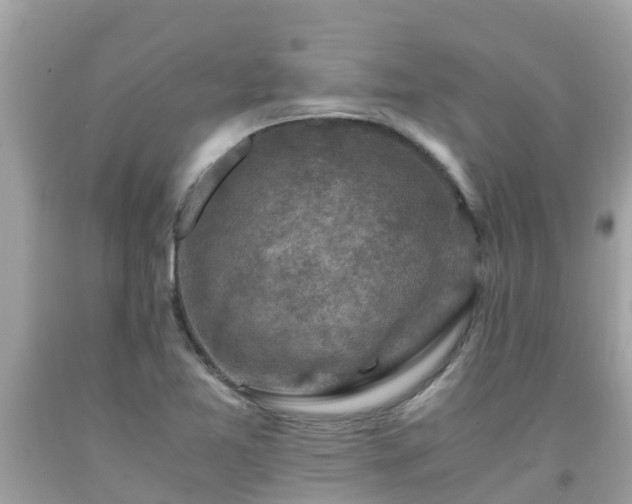 X0000092001365200709131506