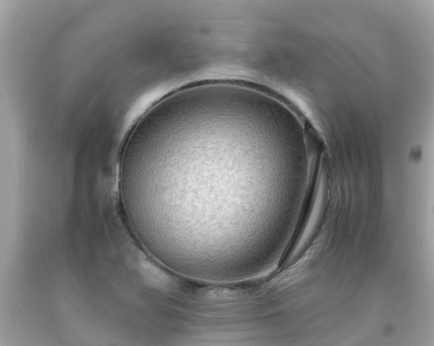 X0000092001366200709131506