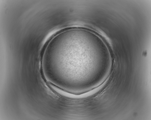 X0000092001368200709131506