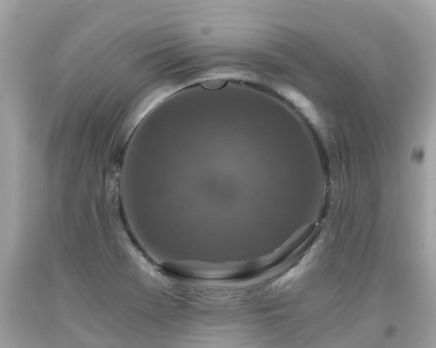 X0000092001369200709131506