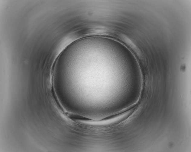 X0000092001370200709131506