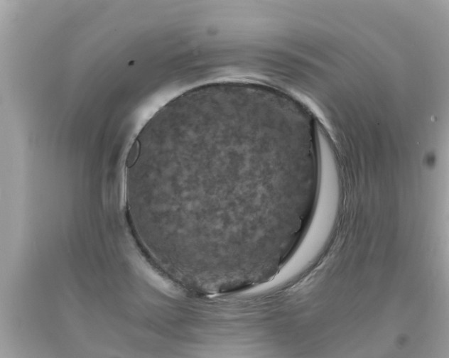 X0000092001371200709131506