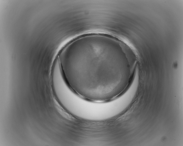 X0000092001372200709131506