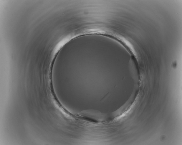 X0000092001373200709131506