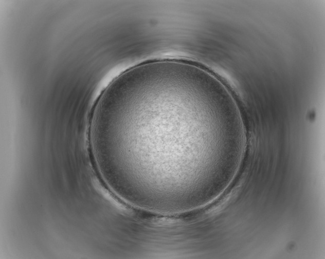 X0000092001374200709131506